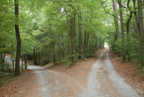 Caminos