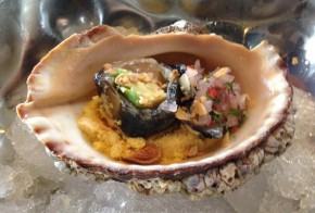 Maido