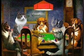 Poker por las mascotas